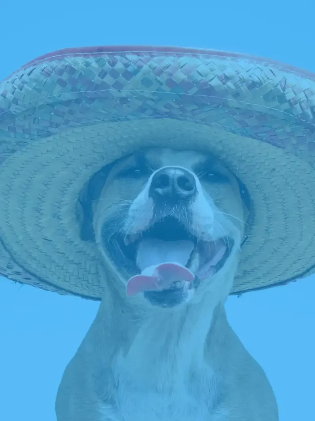 Como dizer obrigada em espanhol